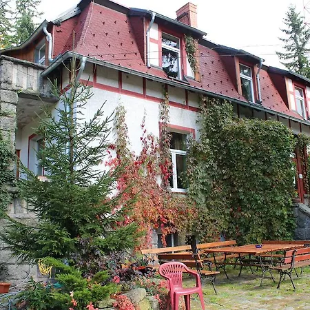 Villa Willa Polny Krzew *