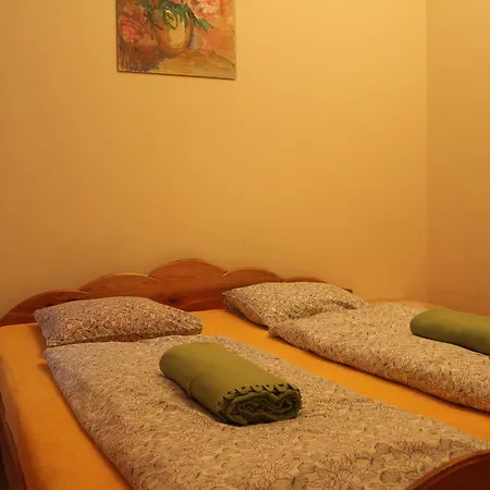 Villa Willa Polny Krzew *